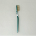 Capri Tooth Brush, Green