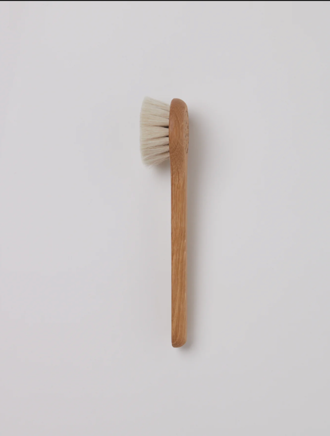 Dry Face Brush
