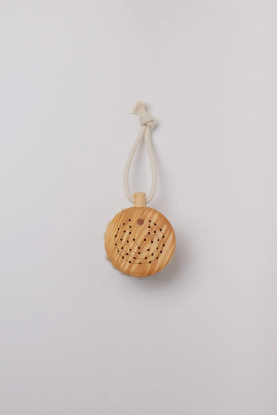 Bath Brush Puck