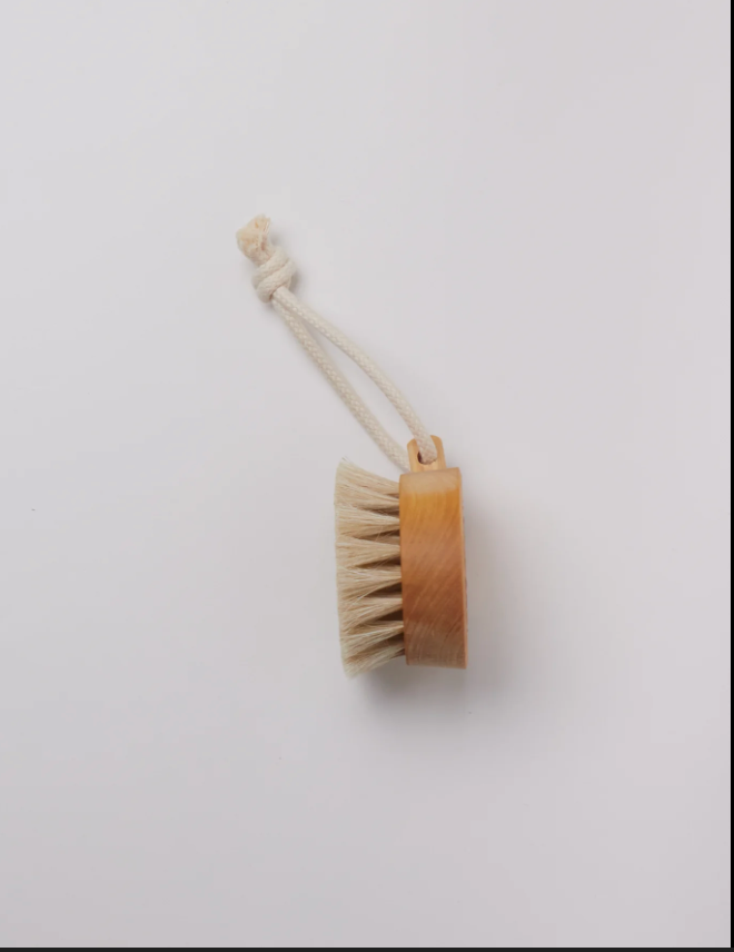 Bath Brush Puck